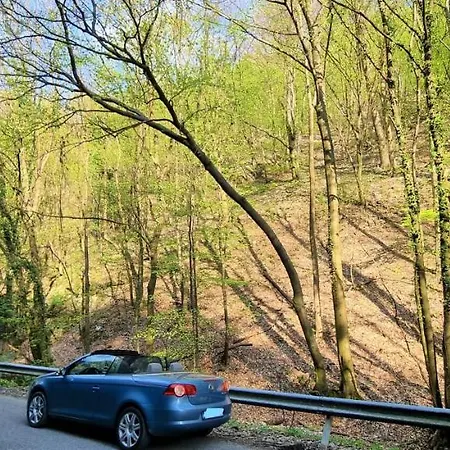 Hos-cegledi Vendeghaz -oenallo Otthon, Mely Csak Az Oenoeke Miškovec