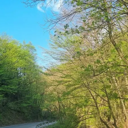 Hos-cegledi Vendeghaz -oenallo Otthon, Mely Csak Az Oenoeke شقة ميسكولك