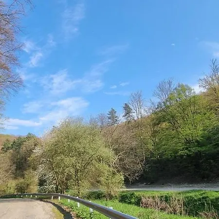 Hos-cegledi Vendeghaz -oenallo Otthon, Mely Csak Az Oenoeke * Miškovec