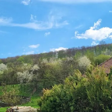 Hos-cegledi Vendeghaz -oenallo Otthon, Mely Csak Az Oenoeke شقة *