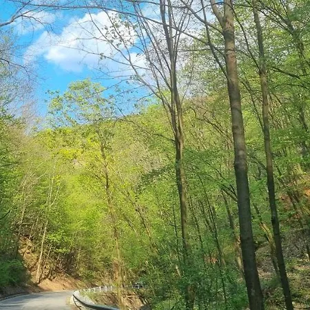 Hos-cegledi Vendeghaz -oenallo Otthon, Mely Csak Az Oenoeke *